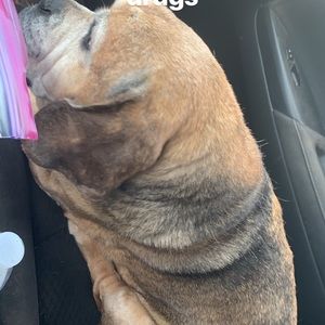 Meet your Posher, Thomas